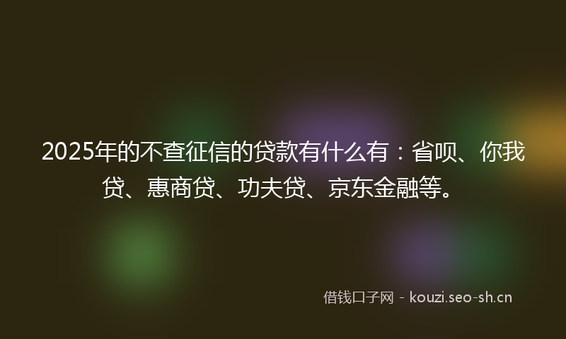 2025年的不查征信的贷款有什么有：省呗、你我贷、惠商贷、功夫贷、京东金融等。
