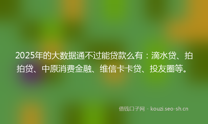 2025年的大数据通不过能贷款么有：滴水贷、拍拍贷、中原消费金融、维信卡卡贷、投友圈等。