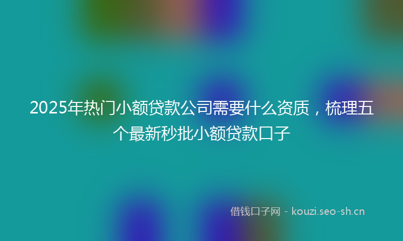 2025年热门小额贷款公司需要什么资质，梳理五个最新秒批小额贷款口子
