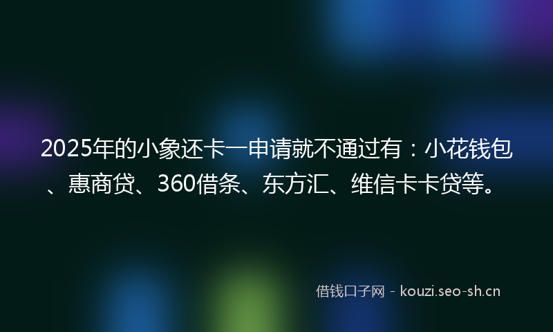 2025年的小象还卡一申请就不通过有：小花钱包、惠商贷、360借条、东方汇、维信卡卡贷等。