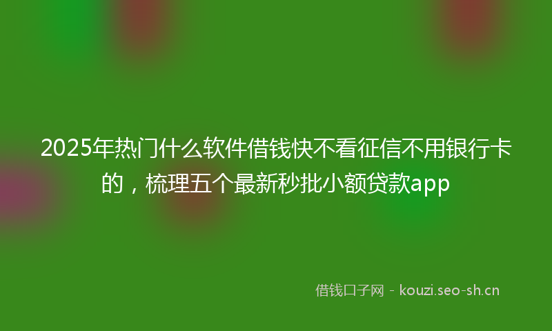 2025年热门什么软件借钱快不看征信不用银行卡的，梳理五个最新秒批小额贷款app