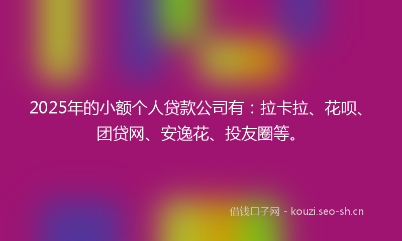 2025年的小额个人贷款公司有：拉卡拉、花呗、团贷网、安逸花、投友圈等。