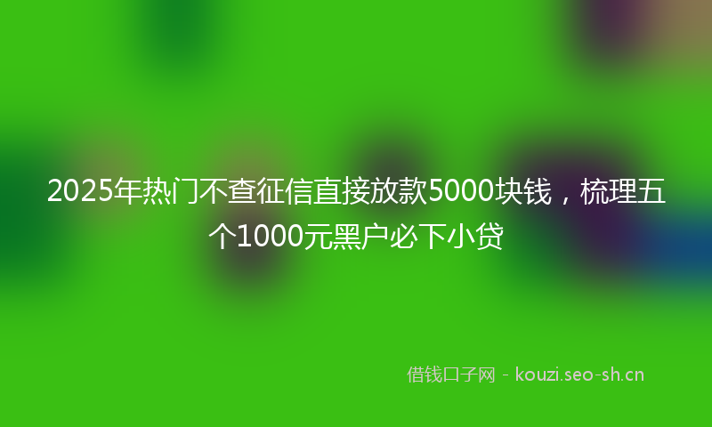 2025年热门不查征信直接放款5000块钱，梳理五个1000元黑户必下小贷