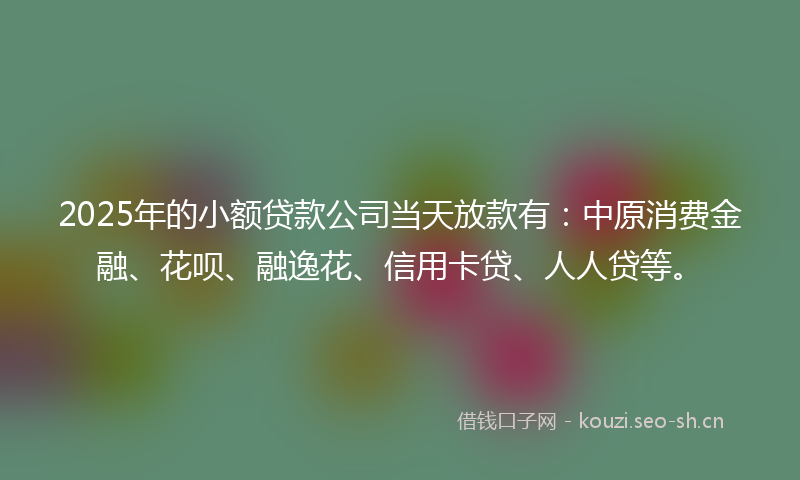 2025年的小额贷款公司当天放款有：中原消费金融、花呗、融逸花、信用卡贷、人人贷等。