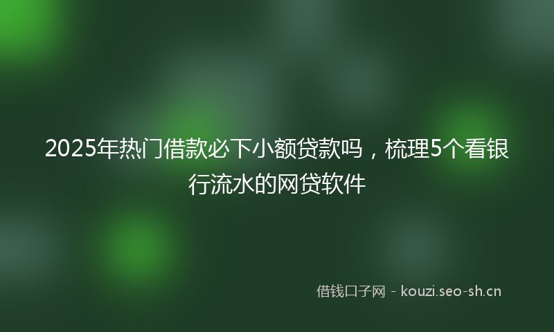 2025年热门借款必下小额贷款吗，梳理5个看银行流水的网贷软件