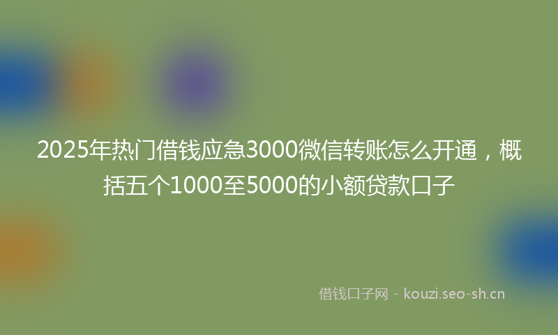 2025年热门借钱应急3000微信转账怎么开通，概括五个1000至5000的小额贷款口子
