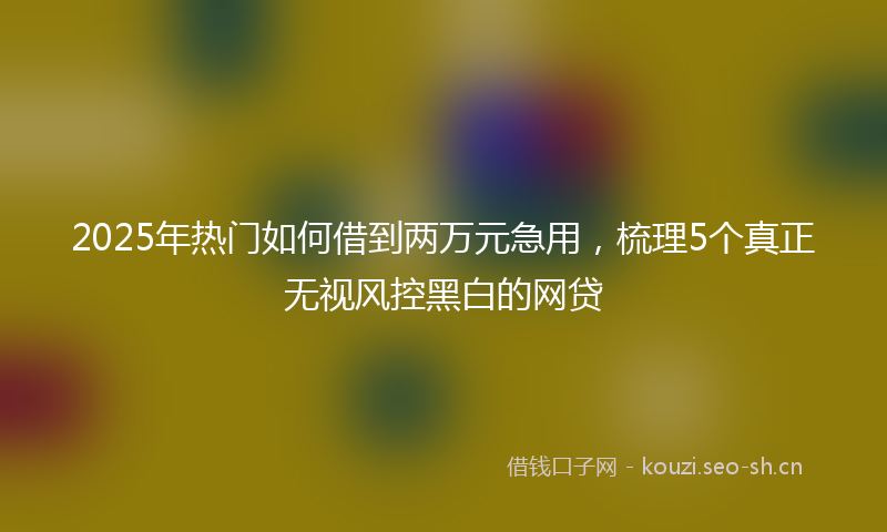 2025年热门如何借到两万元急用，梳理5个真正无视风控黑白的网贷