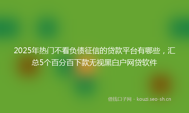 2025年热门不看负债征信的贷款平台有哪些，汇总5个百分百下款无视黑白户网贷软件