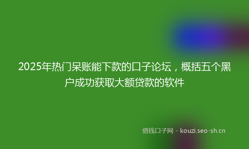 2025年热门呆账能下款的口子论坛，概括五个黑户成功获取大额贷款的软件