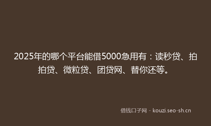 2025年的哪个平台能借5000急用有：读秒贷、拍拍贷、微粒贷、团贷网、替你还等。
