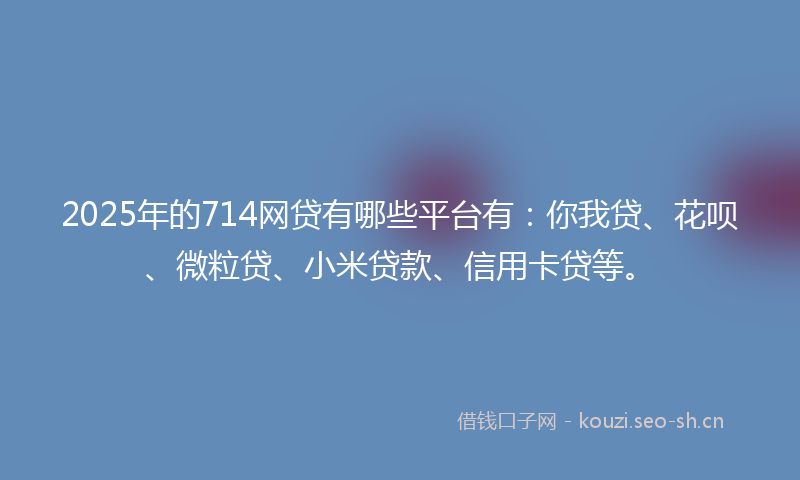 2025年的714网贷有哪些平台有：你我贷、花呗、微粒贷、小米贷款、信用卡贷等。