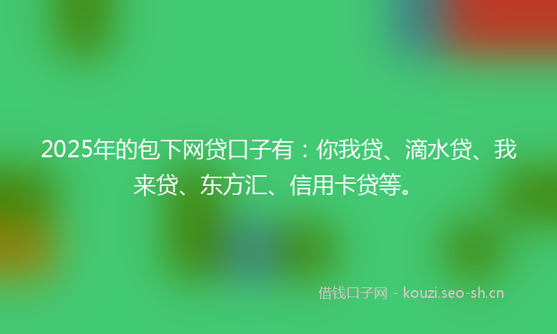 2025年的包下网贷口子有：你我贷、滴水贷、我来贷、东方汇、信用卡贷等。