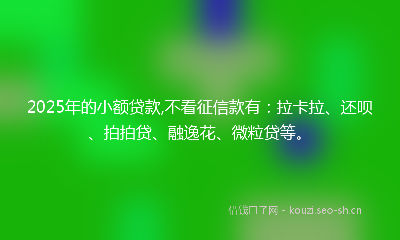 2025年的小额贷款,不看征信款有：拉卡拉、还呗、拍拍贷、融逸花、微粒贷等。