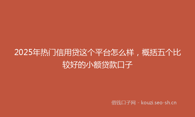 2025年热门信用贷这个平台怎么样，概括五个比较好的小额贷款口子