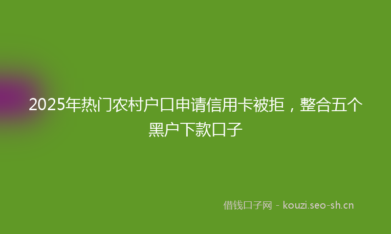2025年热门农村户口申请信用卡被拒，整合五个黑户下款口子