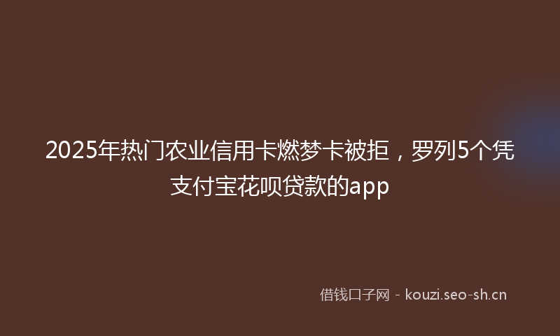 2025年热门农业信用卡燃梦卡被拒，罗列5个凭支付宝花呗贷款的app