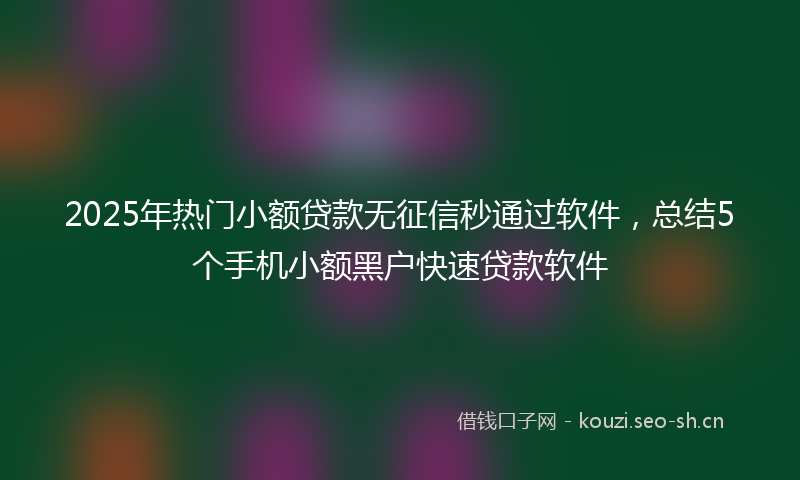 2025年热门小额贷款无征信秒通过软件，总结5个手机小额黑户快速贷款软件