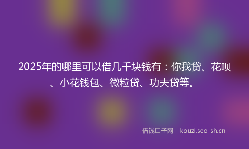 2025年的哪里可以借几千块钱有：你我贷、花呗、小花钱包、微粒贷、功夫贷等。