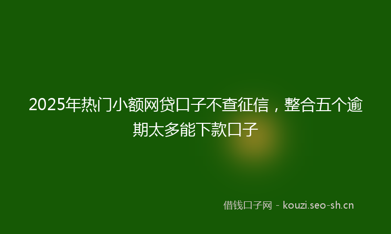 2025年热门小额网贷口子不查征信，整合五个逾期太多能下款口子