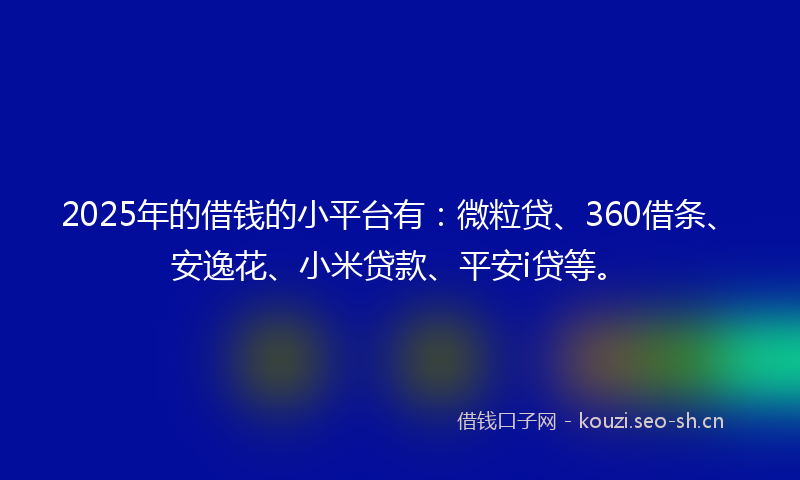 2025年的借钱的小平台有：微粒贷、360借条、安逸花、小米贷款、平安i贷等。