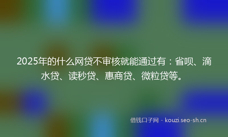 2025年的什么网贷不审核就能通过有：省呗、滴水贷、读秒贷、惠商贷、微粒贷等。