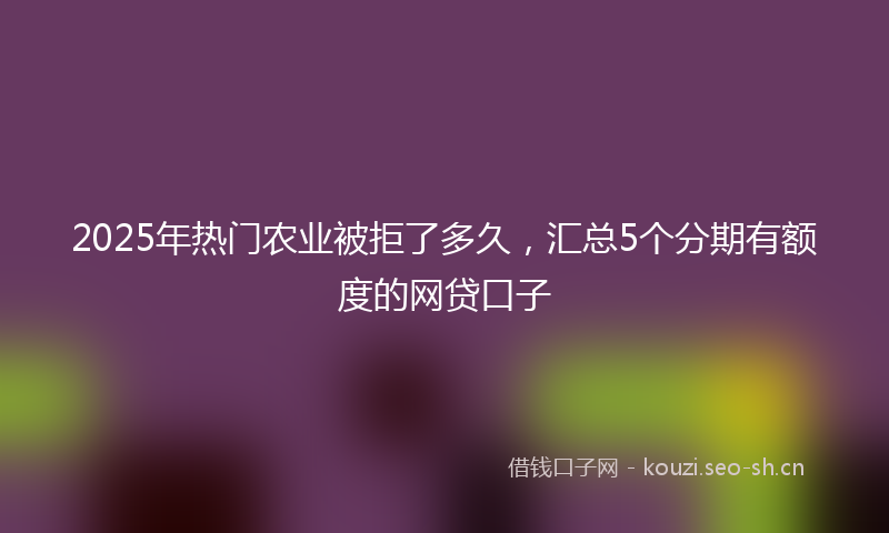 2025年热门农业被拒了多久，汇总5个分期有额度的网贷口子