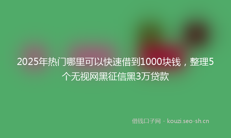 2025年热门哪里可以快速借到1000块钱，整理5个无视网黑征信黑3万贷款