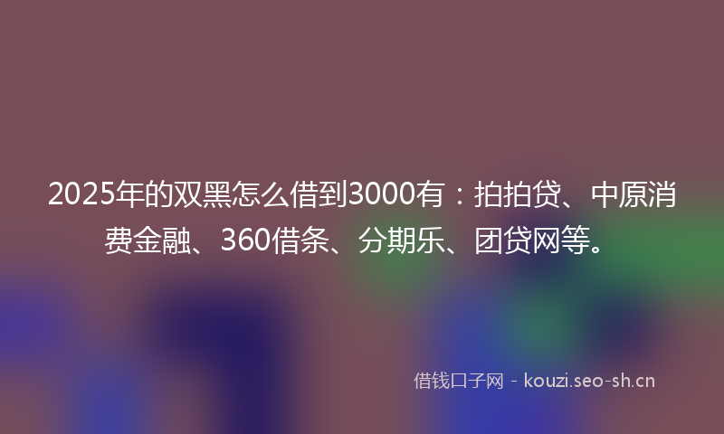 2025年的双黑怎么借到3000有：拍拍贷、中原消费金融、360借条、分期乐、团贷网等。