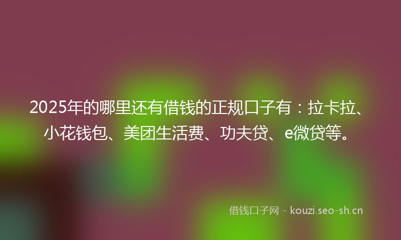 2025年的哪里还有借钱的正规口子有：拉卡拉、小花钱包、美团生活费、功夫贷、e微贷等。