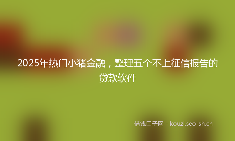 2025年热门小猪金融，整理五个不上征信报告的贷款软件