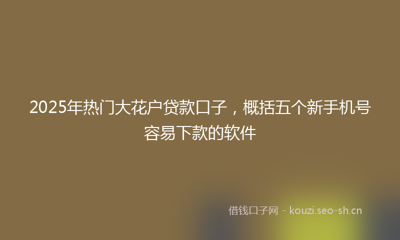 2025年热门大花户贷款口子,概括五个新手机号容易下款的软件