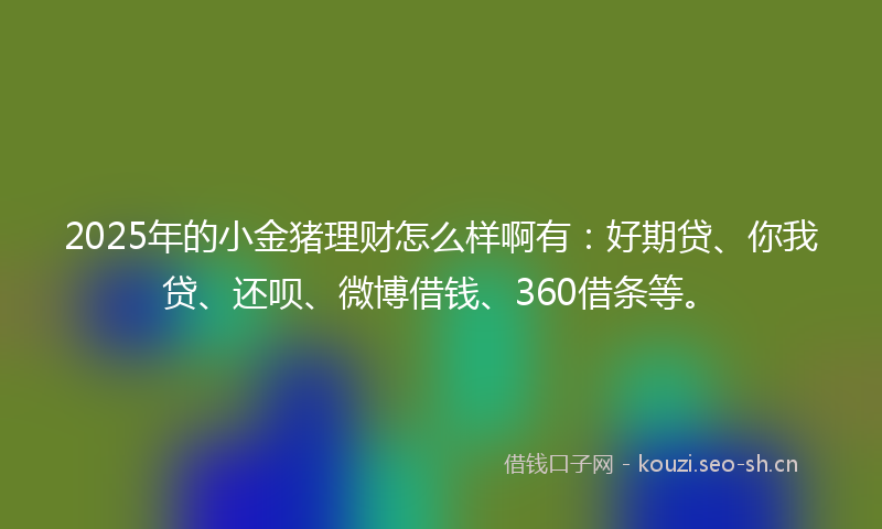 2025年的小金猪理财怎么样啊有：好期贷、你我贷、还呗、微博借钱、360借条等。