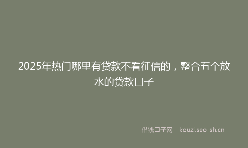 2025年热门哪里有贷款不看征信的，整合五个放水的贷款口子
