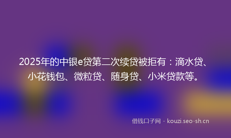 2025年的中银e贷第二次续贷被拒有：滴水贷、小花钱包、微粒贷、随身贷、小米贷款等。