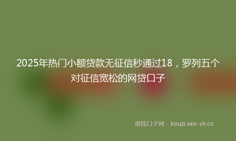 2025年热门小额贷款无征信秒通过18，罗列五个对征信宽松的网贷口子