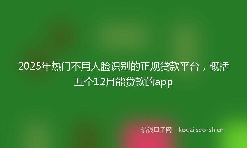 2025年热门不用人脸识别的正规贷款平台，概括五个12月能贷款的app