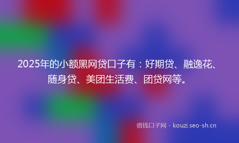 2025年的小额黑网贷口子有：好期贷、融逸花、随身贷、美团生活费、团贷网等。