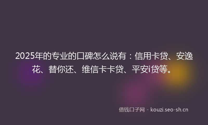 2025年的专业的口碑怎么说有：信用卡贷、安逸花、替你还、维信卡卡贷、平安i贷等。