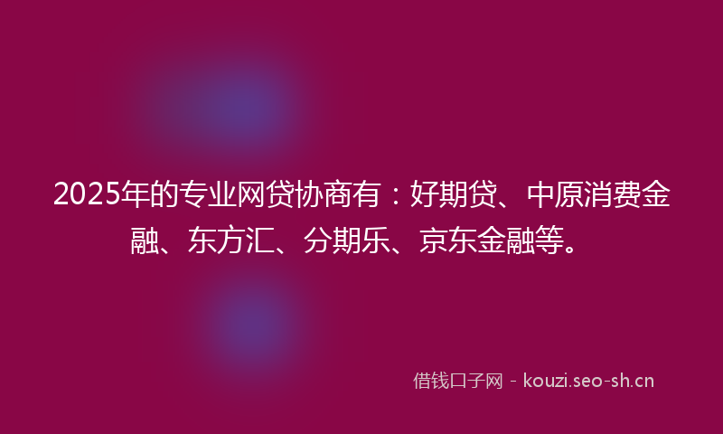 2025年的专业网贷协商有：好期贷、中原消费金融、东方汇、分期乐、京东金融等。