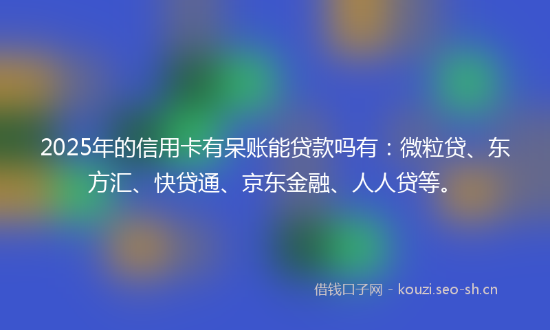 2025年的信用卡有呆账能贷款吗有：微粒贷、东方汇、快贷通、京东金融、人人贷等。