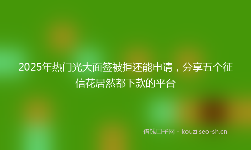 2025年热门光大面签被拒还能申请，分享五个征信花居然都下款的平台