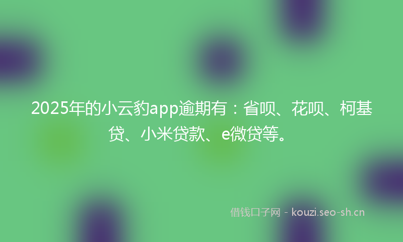 2025年的小云豹app逾期有：省呗、花呗、柯基贷、小米贷款、e微贷等。