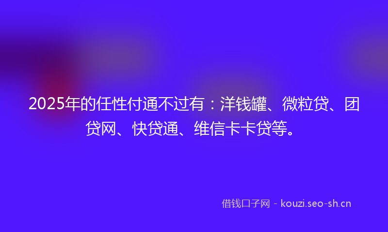 2025年的任性付通不过有：洋钱罐、微粒贷、团贷网、快贷通、维信卡卡贷等。