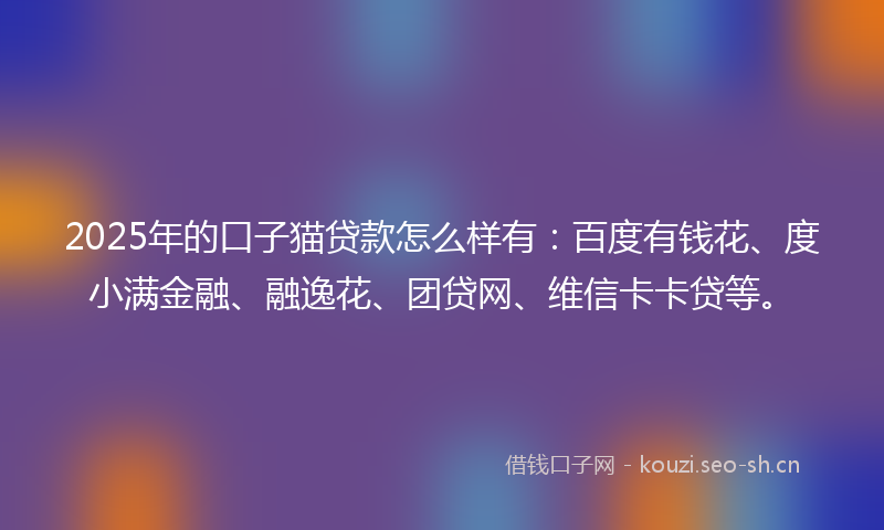 2025年的口子猫贷款怎么样有：百度有钱花、度小满金融、融逸花、团贷网、维信卡卡贷等。