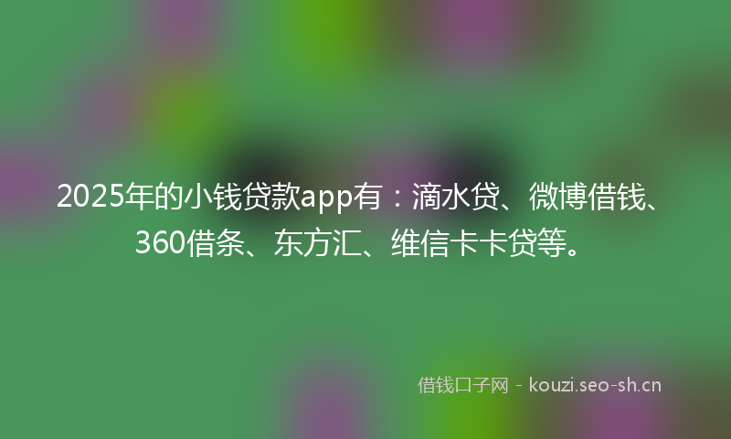 2025年的小钱贷款app有：滴水贷、微博借钱、360借条、东方汇、维信卡卡贷等。