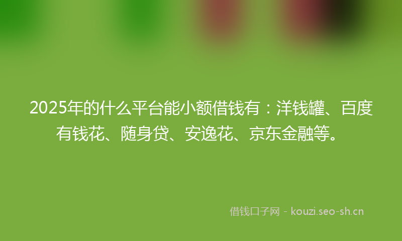 2025年的什么平台能小额借钱有：洋钱罐、百度有钱花、随身贷、安逸花、京东金融等。