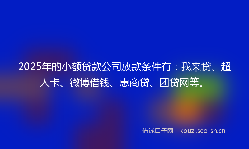 2025年的小额贷款公司放款条件有：我来贷、超人卡、微博借钱、惠商贷、团贷网等。