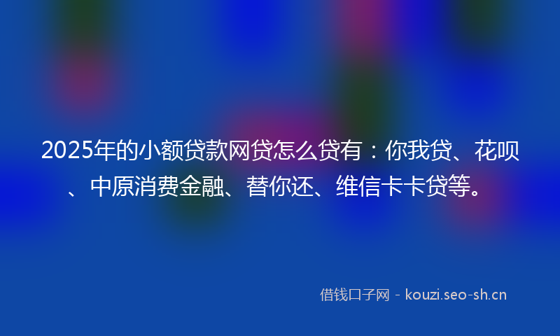 2025年的小额贷款网贷怎么贷有：你我贷、花呗、中原消费金融、替你还、维信卡卡贷等。