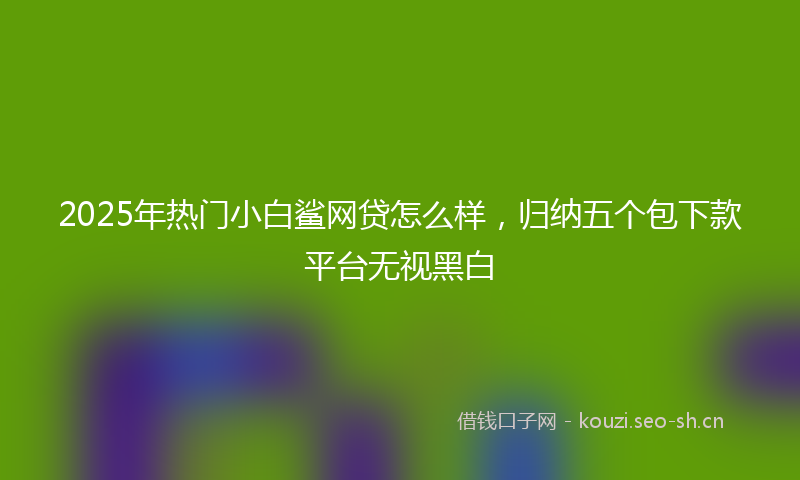 2025年热门小白鲨网贷怎么样，归纳五个包下款平台无视黑白