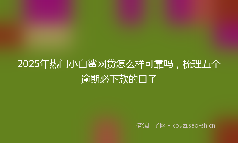 2025年热门小白鲨网贷怎么样可靠吗，梳理五个逾期必下款的口子